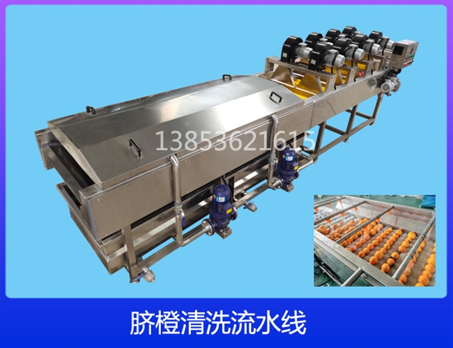 陈皮清洗机