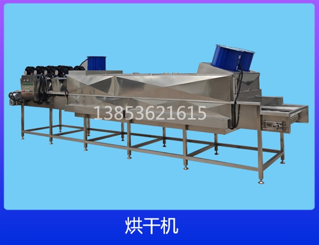 四川电加热网带链板烘干机
