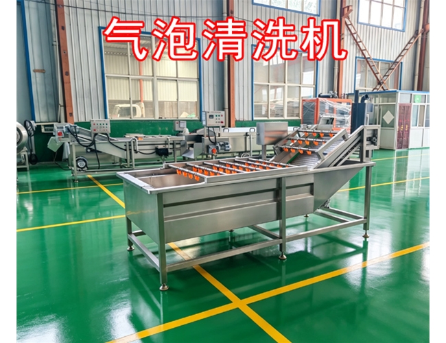 四川银耳气泡清洗机