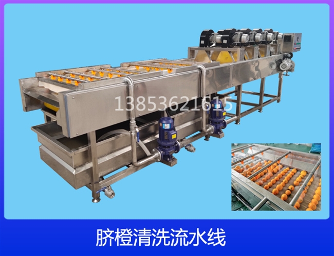 四川柠檬清洗机