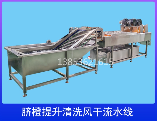 四川柑橘提升清洗流水线