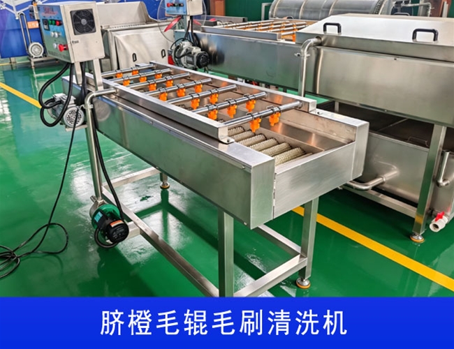四川沃柑毛辊毛刷清洗机