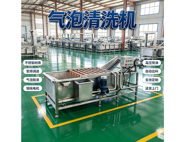 四川根茎类气泡清洗机